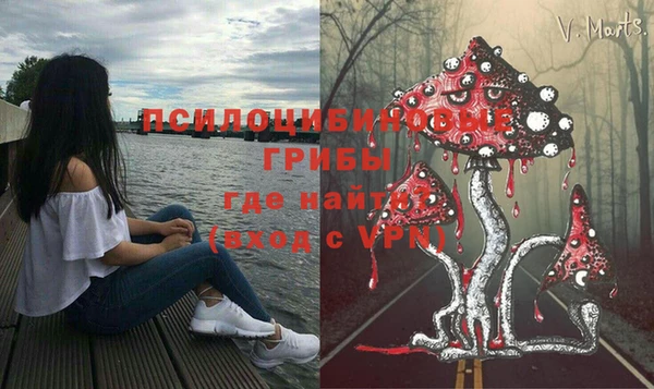ешки Алексин