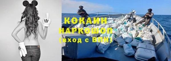 ешки Алексин
