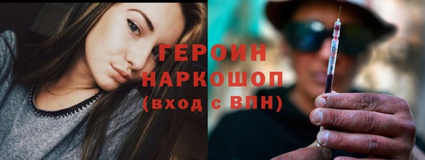 ешки Алексин