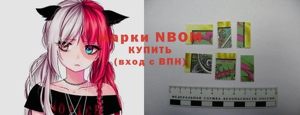 ешки Алексин