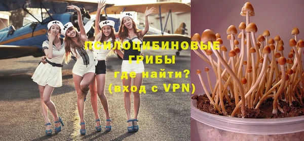 ешки Алексин