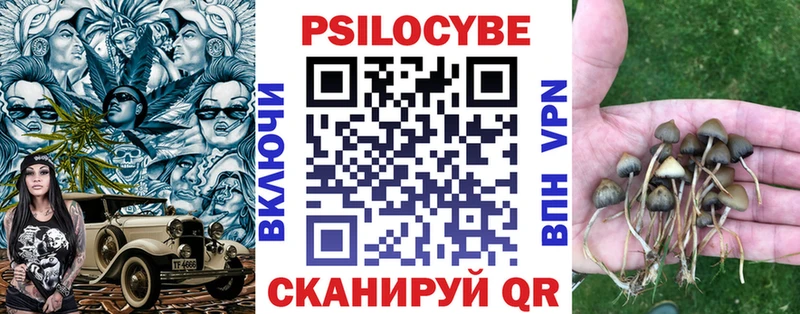 Псилоцибиновые грибы прущие грибы  магазин  наркотиков  Минусинск 